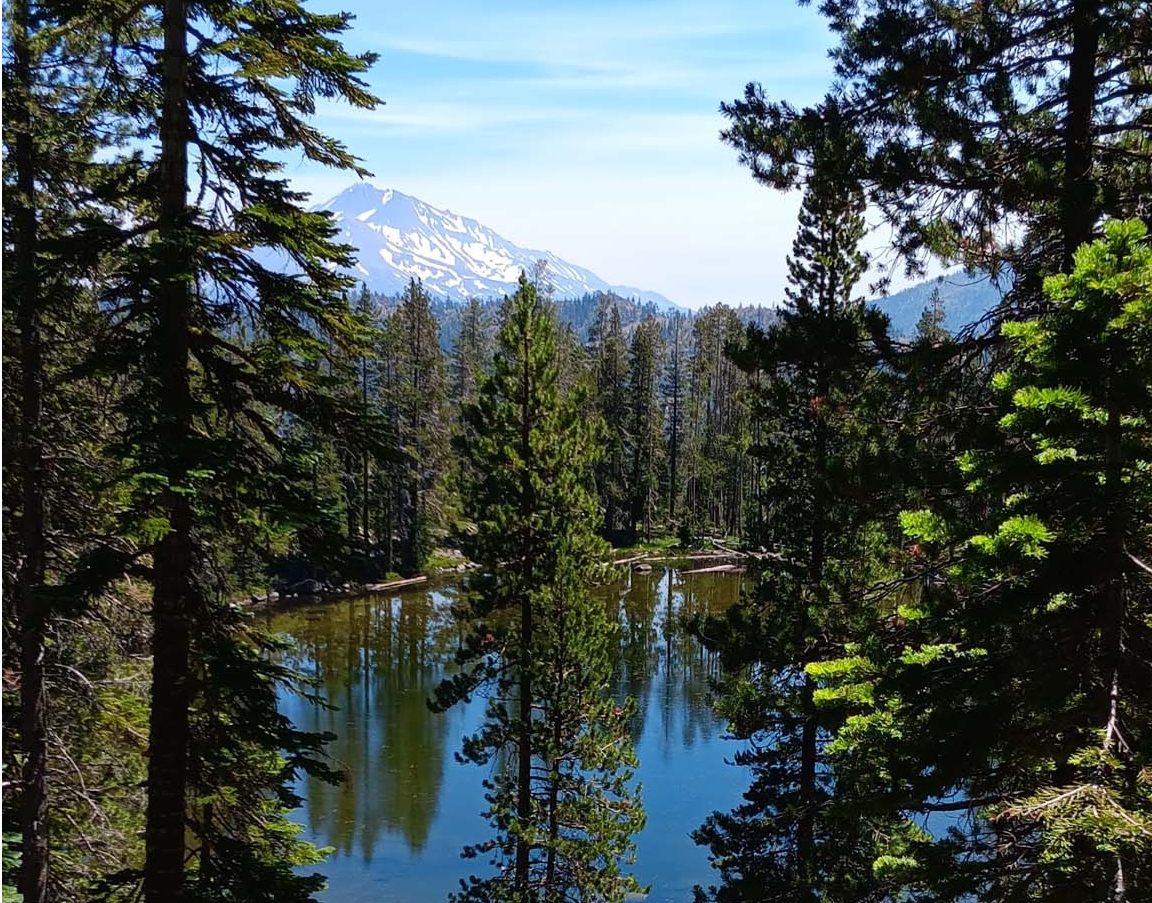 Caldwell Lake and Mt. Shasta. B. Robertson.