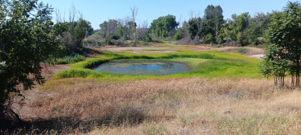 Pond. B. Robertson.