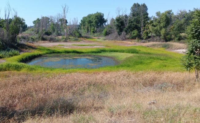 Pond. B. Robertson.