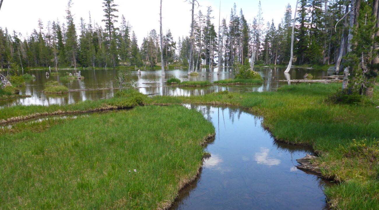 Upper Caldwell Lake. D. Burk