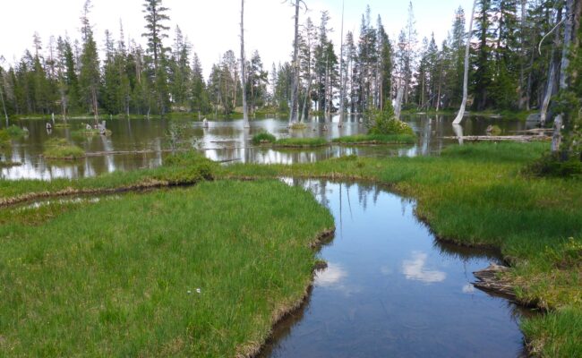 Upper Caldwell Lake. D. Burk