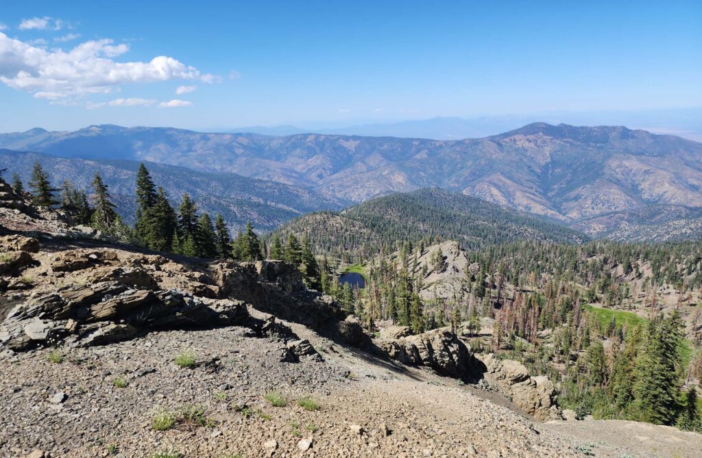 View north from trail. D. Burk.