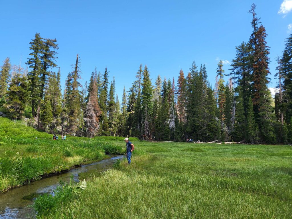 Yo at Paradise Meadow. D. Mandel.