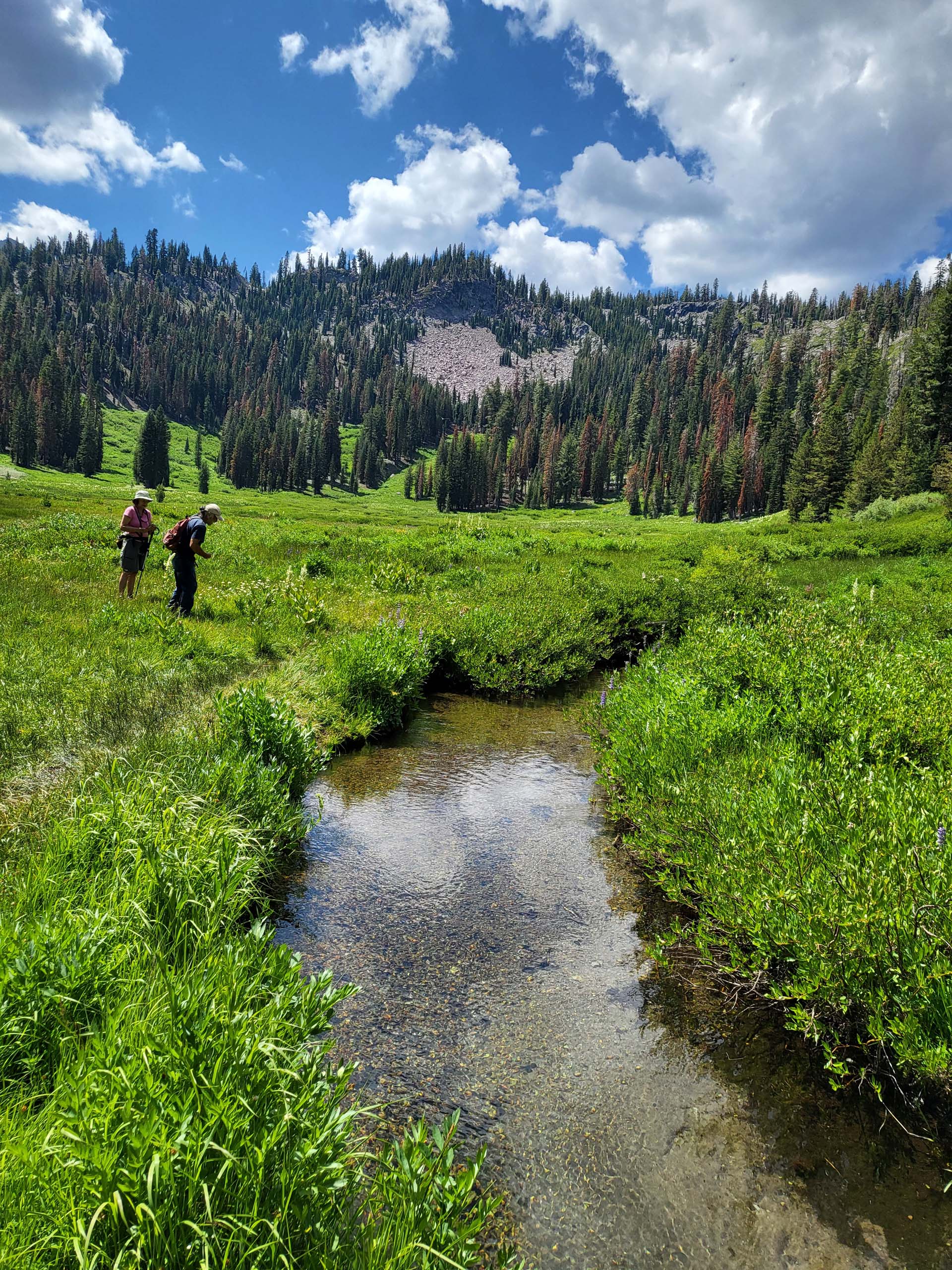 Paradise meadow, Paula, and Yo. D. Mandel.