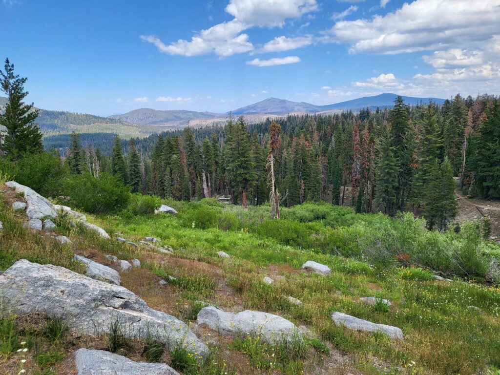 View north from above Paradise Meadow. D. Mandel.