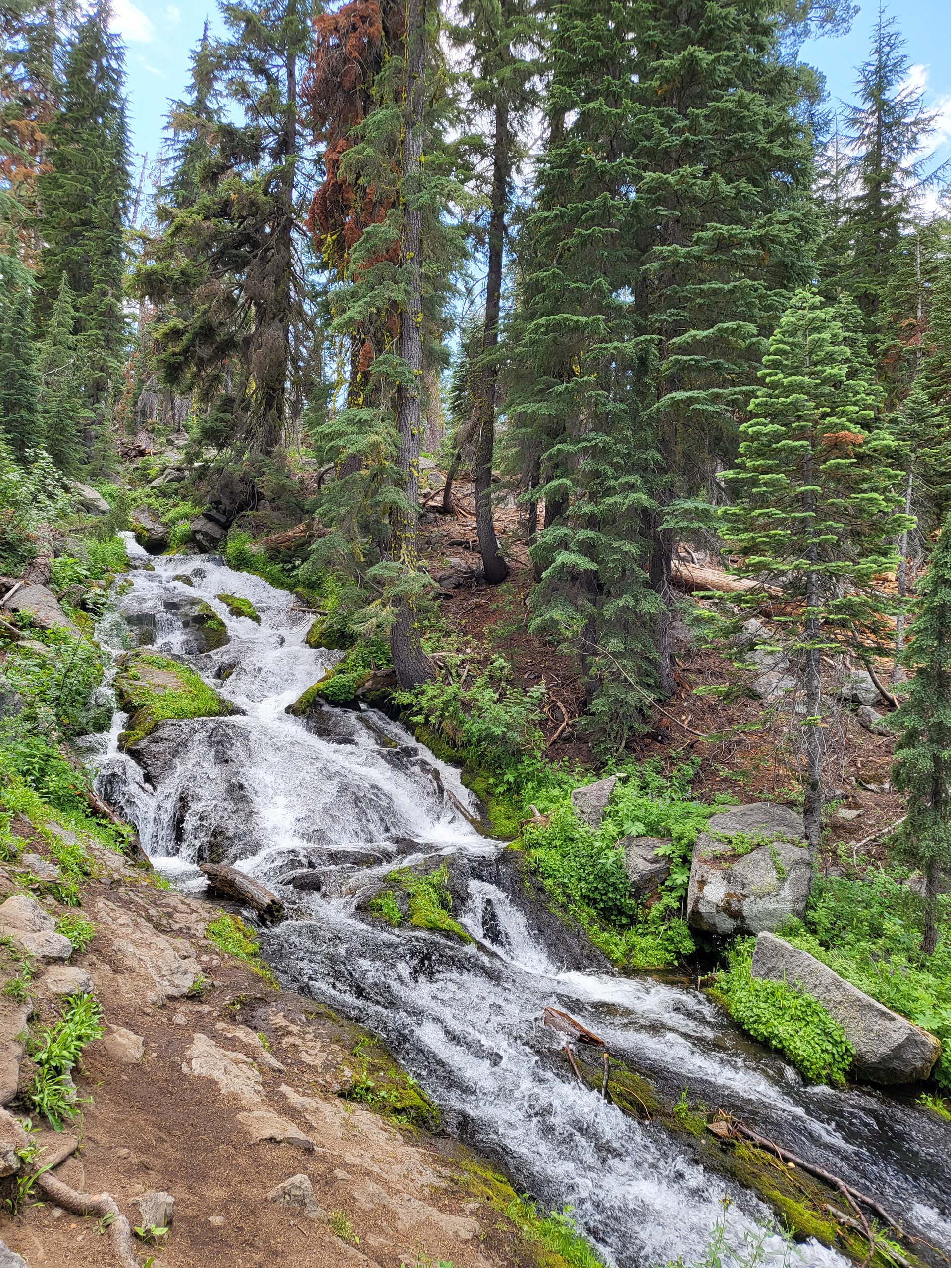 West Fork Hat Creek tributary. D. Mandel.