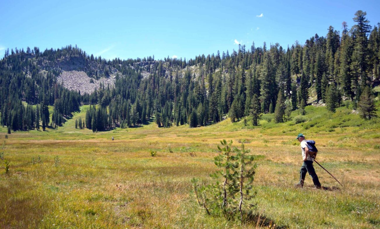 Paradise Meadows. J. Thesken.