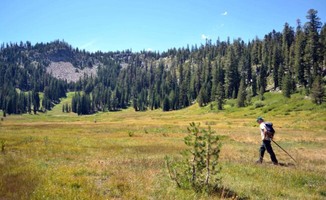 Paradise Meadows. J. Thesken.