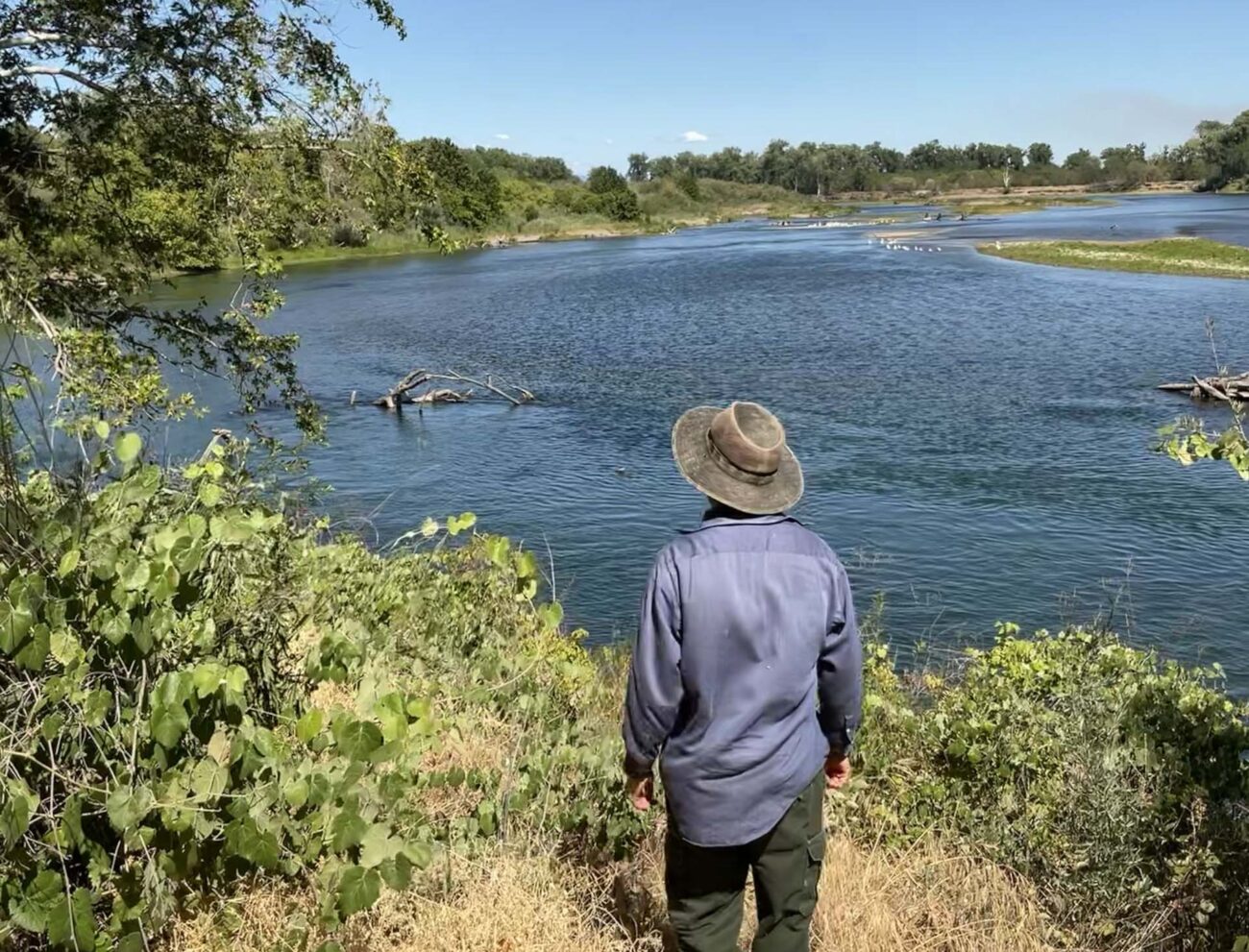 Brook Constantz at the Sacramento River National Wildlife Refuge, Phelan Island Unit. J. Armas.