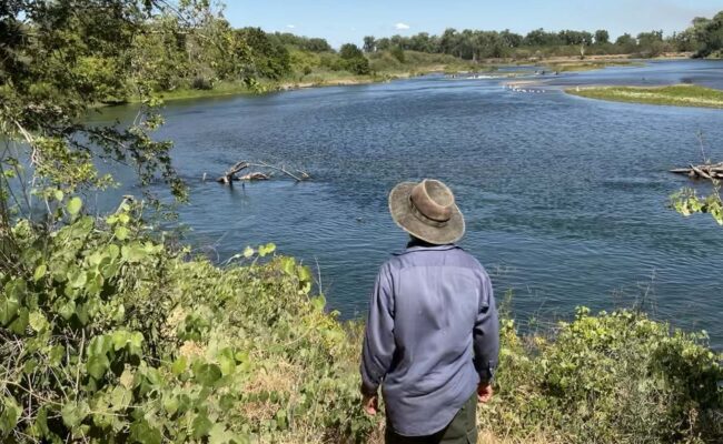 Brook Constantz at the Sacramento River National Wildlife Refuge, Phelan Island Unit. J. Armas.