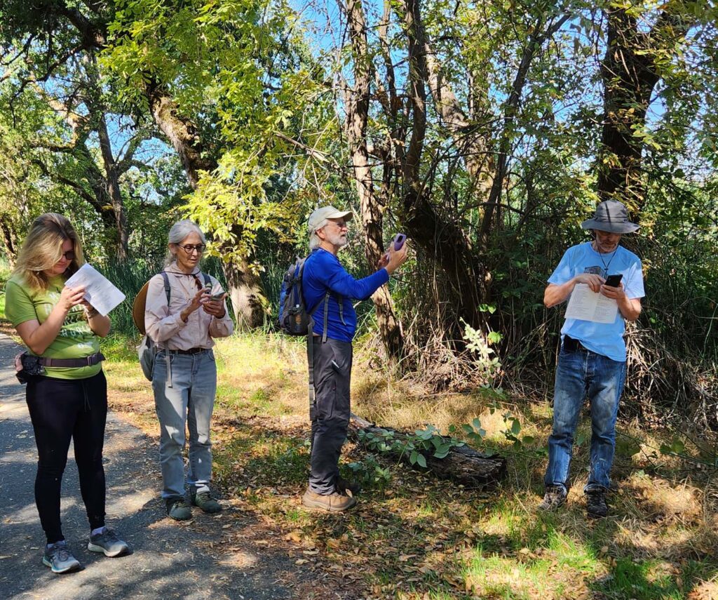 iNaturalist recorders. J. Malik.