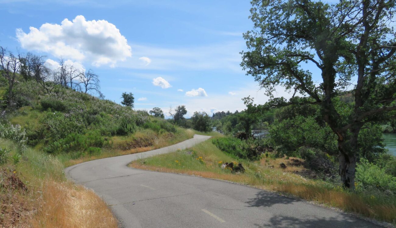 sacramento River Trail. D. Ledger.