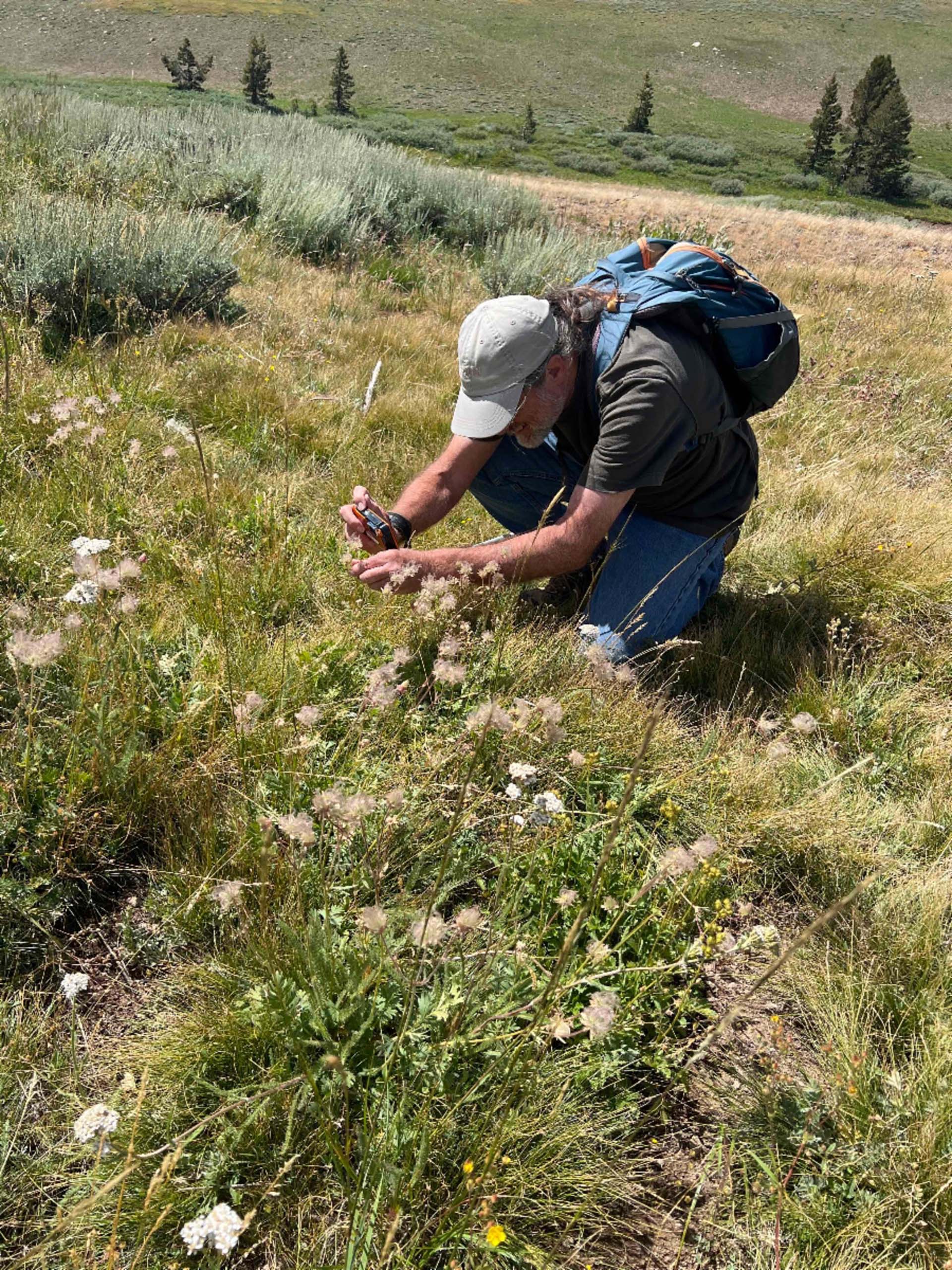 Don Burk taking a photo. C. Powell. August 24, 2023. Meiss Meadow.