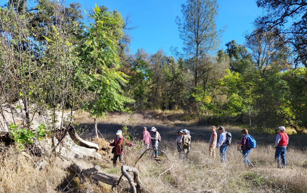 Birding and botanizing. D. Mandel.