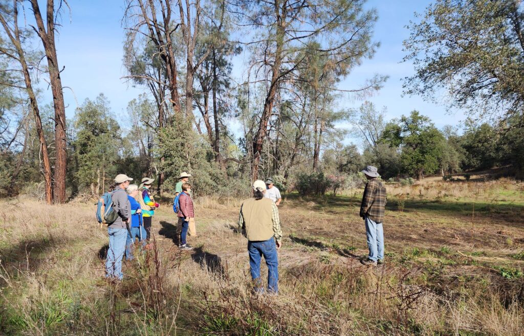 Meadow in need of restoration. L. Burk.