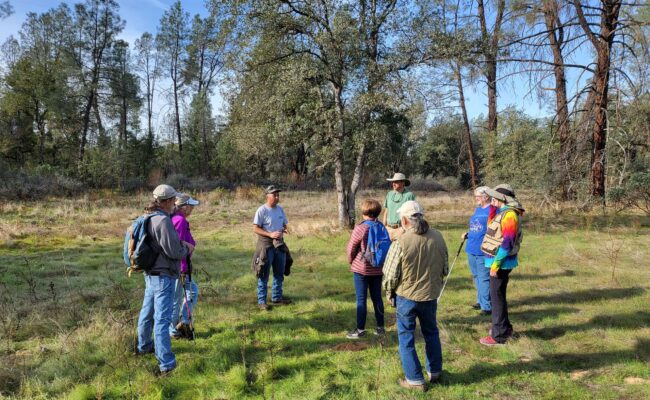 Field trippers at Lillian Nelson Nature Preserve. D. Mandel.