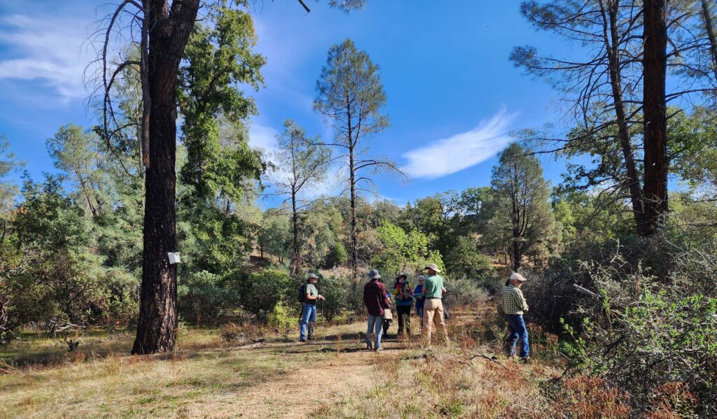 Field trippers at Lillian Nelson Nature Preserve. L. Burk.