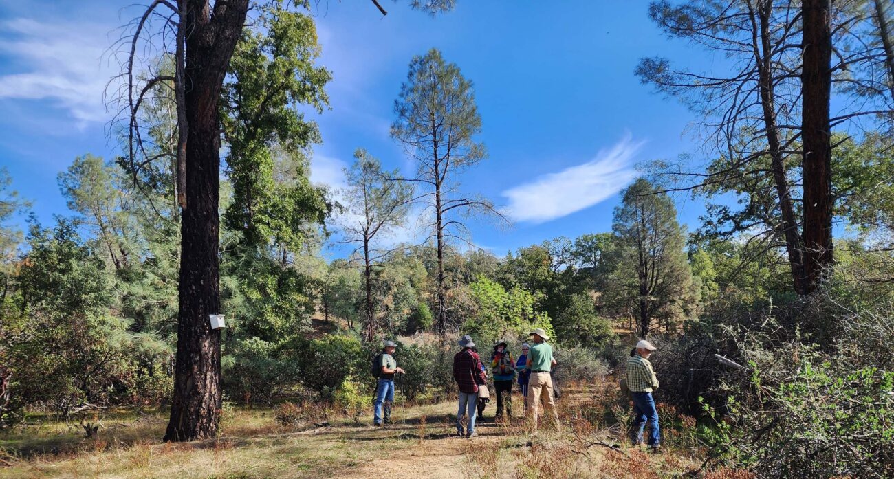 Field trippers at Lillian Nelson Nature Preserve. L. Burk.