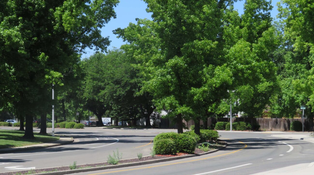 Quartz Hill Road. D. Ledger.