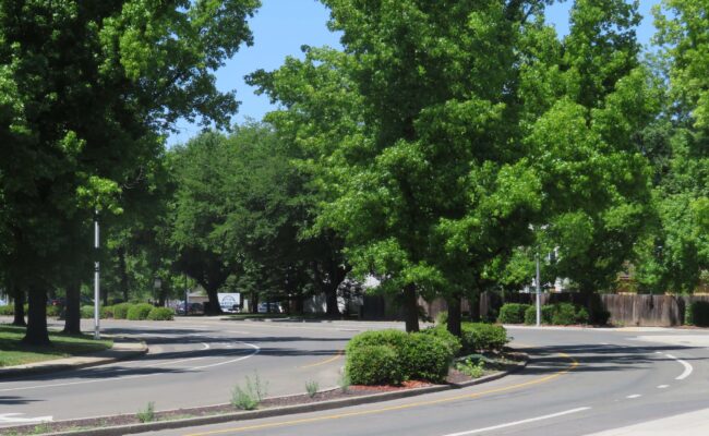 Quartz Hill Road. D. Ledger.