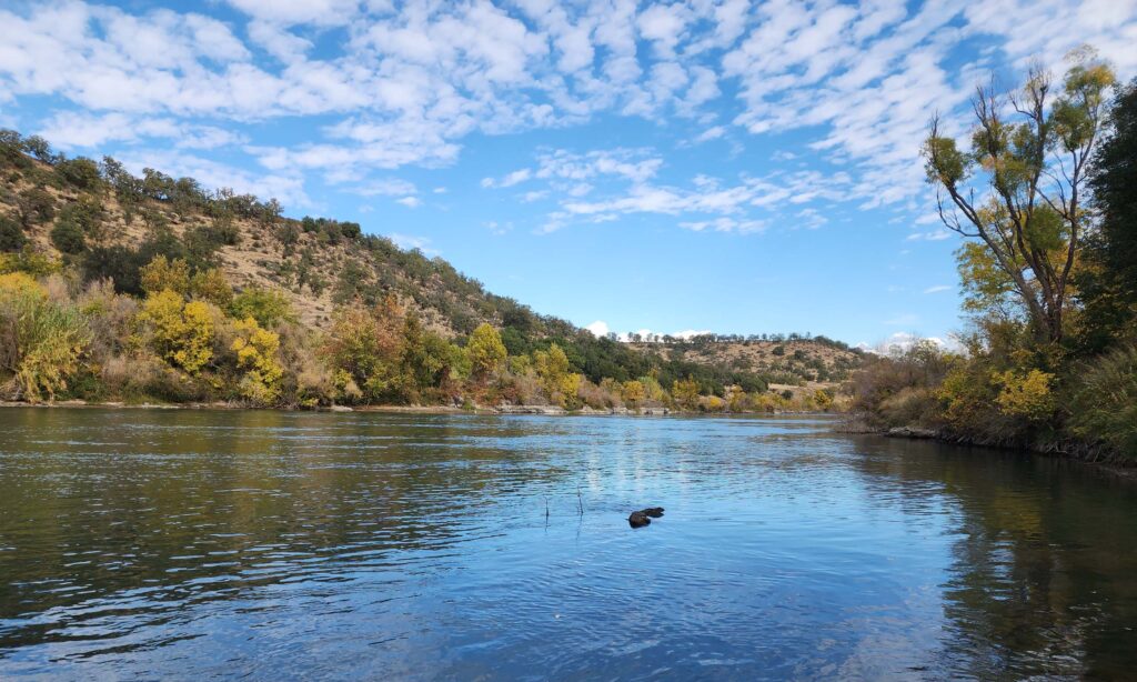 Sacramento River. D. Burk.