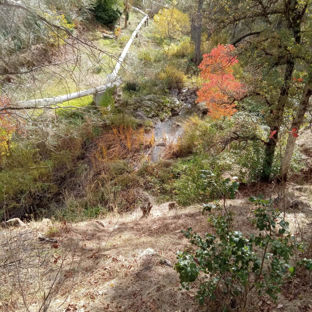 Jenny Creek Field Trip, November 8, 2023