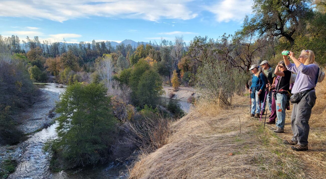 On Clear Creek Trail, over the creek. D. Mandel.