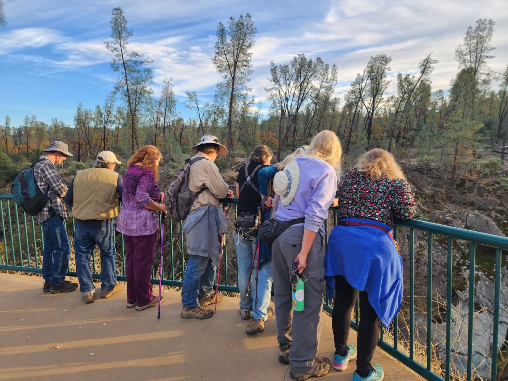 Watching salmon in Clear Creek. D. Burk.