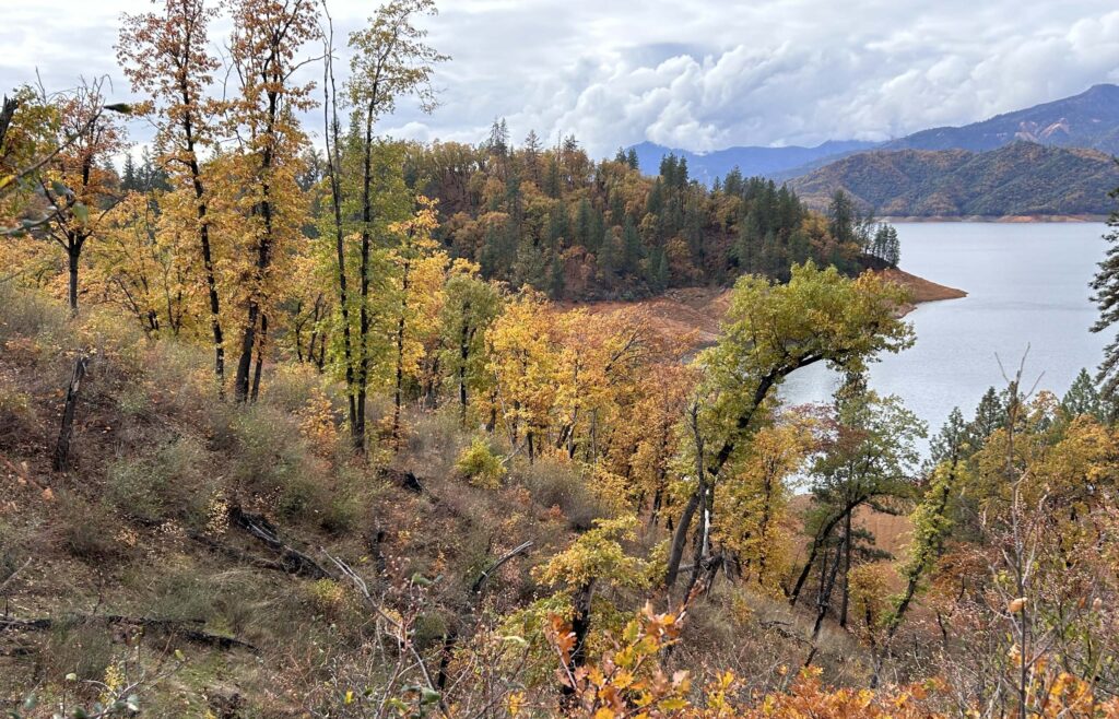 Fall colors north of Redding. MA McCrary.