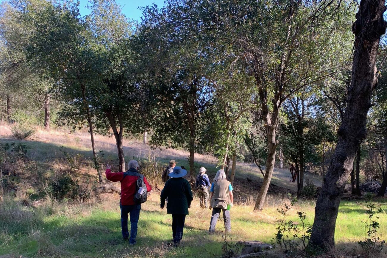 Jenny Creek walkers. M. McGetrick~West.