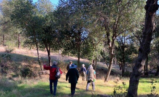 Jenny Creek walkers. M. McGetrick~West.