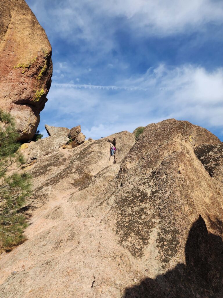 Steep and narrow section of High Peaks Trail, Pinnacles NP D. Burk. December 7, 2023.