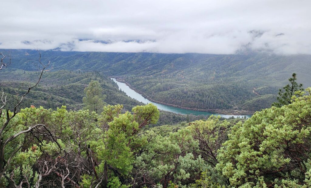 View of Sacramento River. D. Mandel.