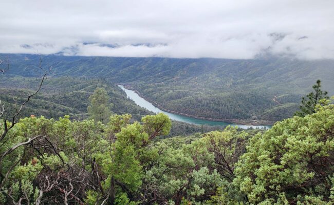 View of Sacramento River. D. Mandel.