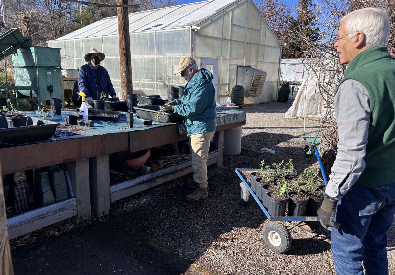 January 7 plant propagators. MA McCrary.