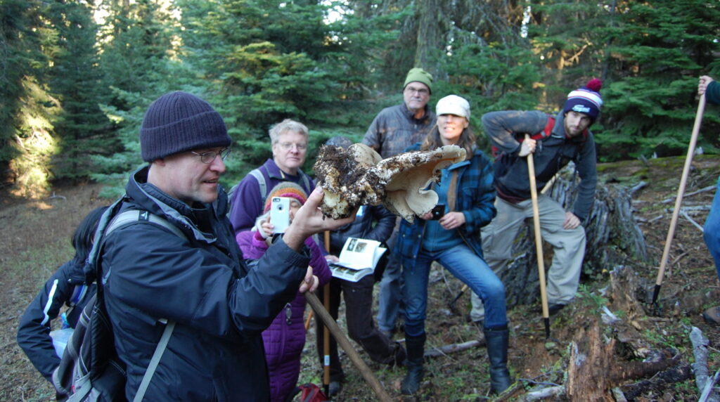 Scot Loring and fungus. S. Loring.