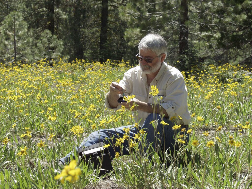 Greg Lockett in a field of wildflowers. G. Lockett.