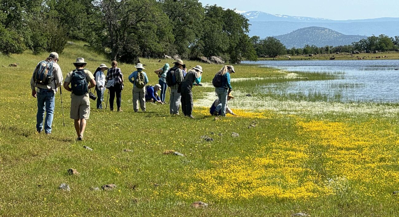 Field trip attendees at Hog Lake. G. Lockett.