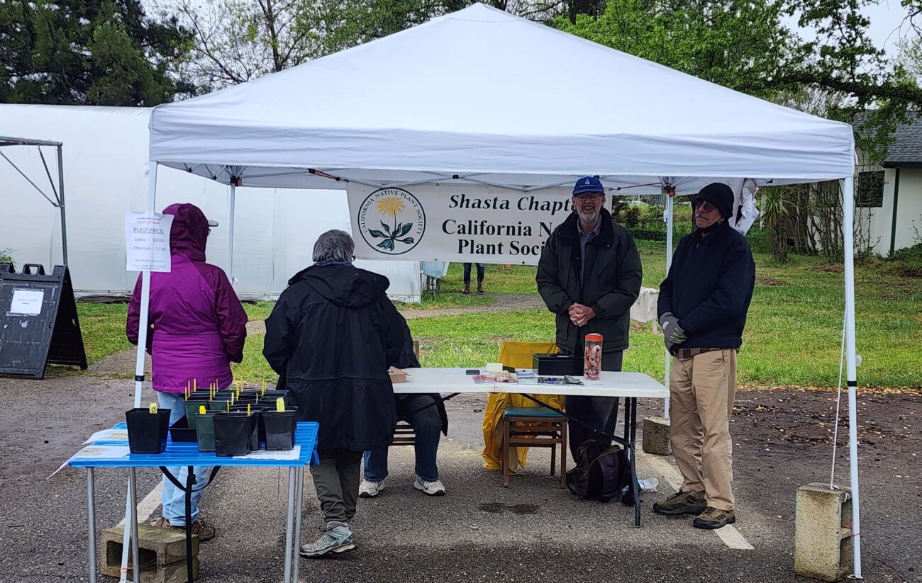 Shasta Chapter tent at the sale. D. Burk.