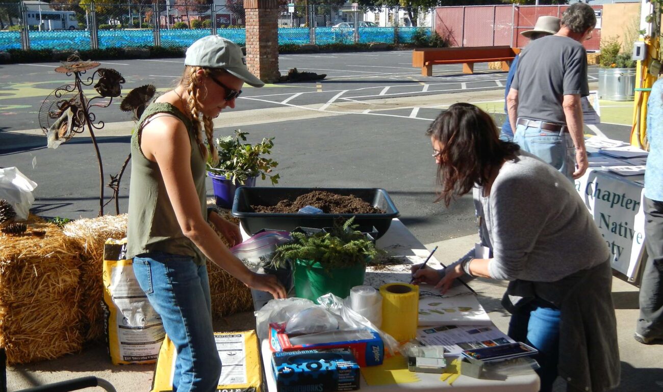 Volunteers at work! B. Widdowson.