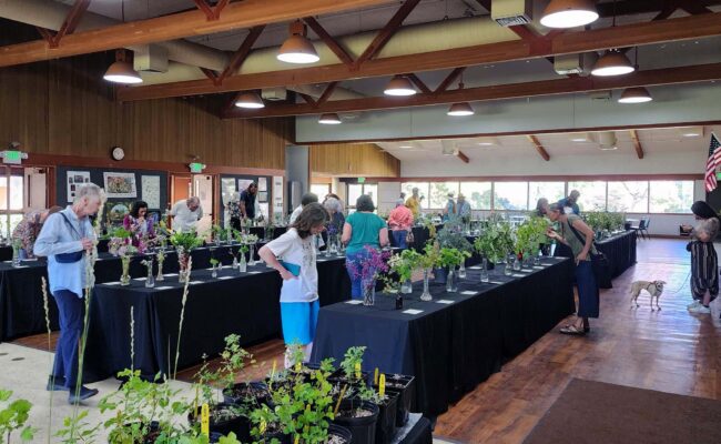 Wildflower Show visitors. D. Burk