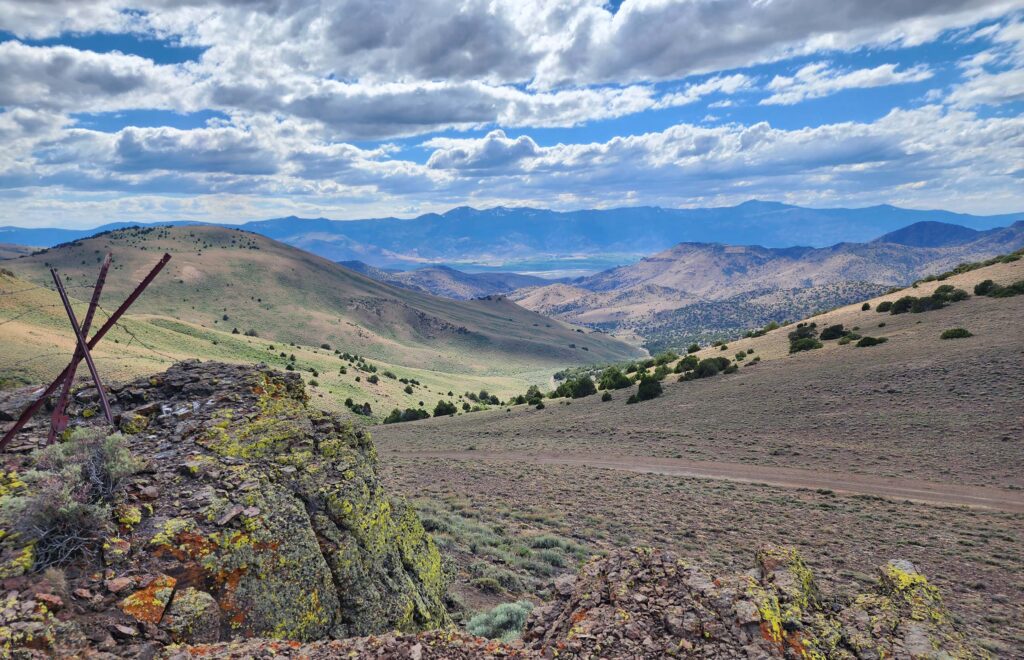 Warner Mountains from Hays Canyon Mountains. D. Burk.