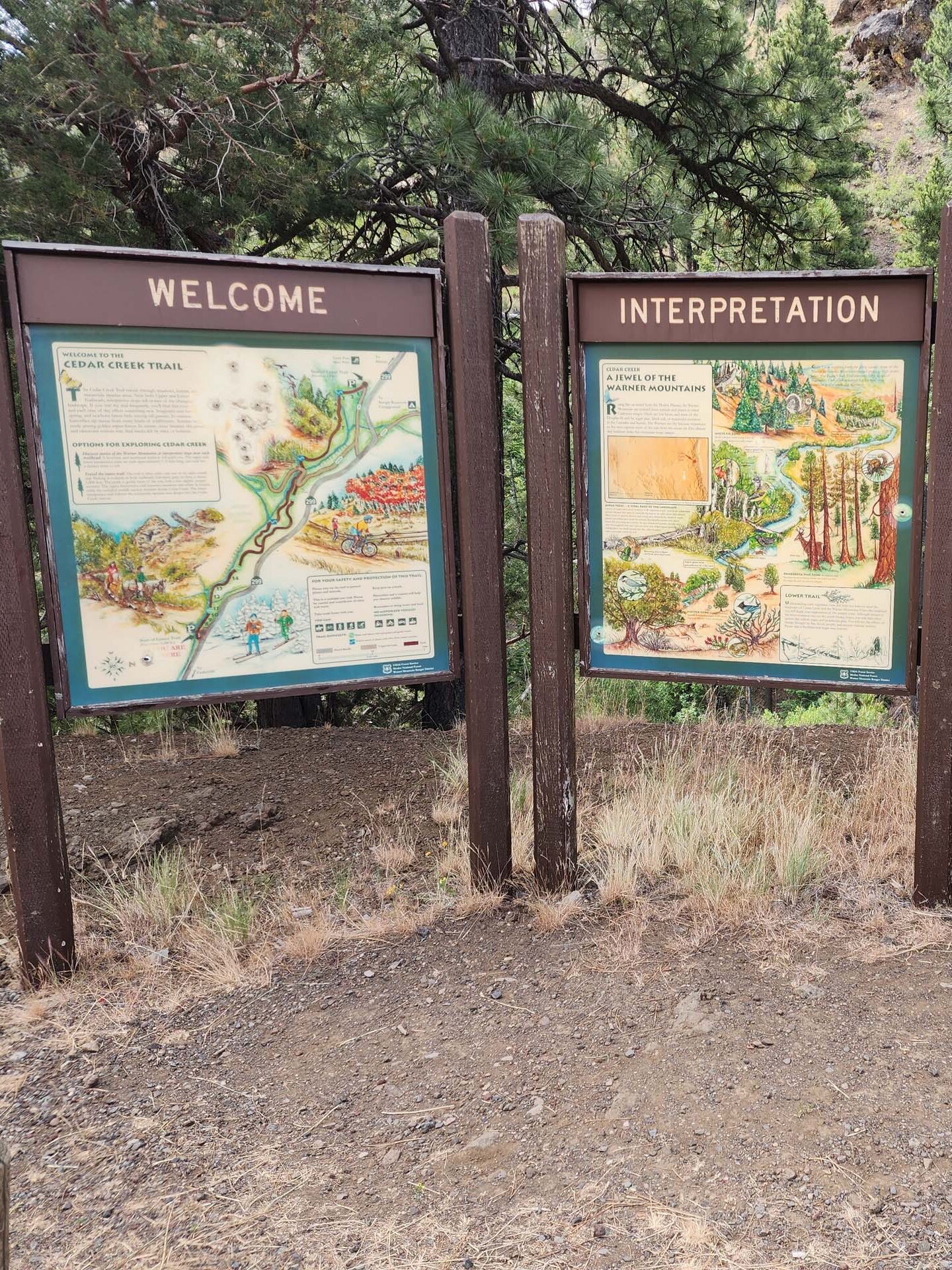 Trailhead signage. D, Burk. Cedar Creek Trail, Modoc National Forest. June 30, 2024.