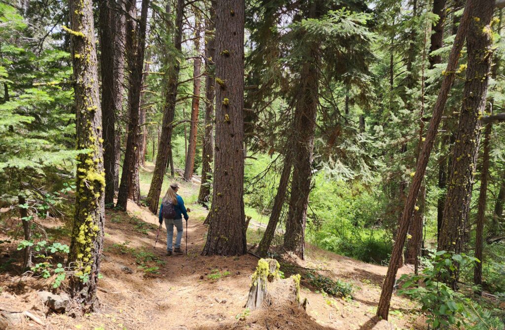 Footpath section of middle-mile loop. D. Burk.