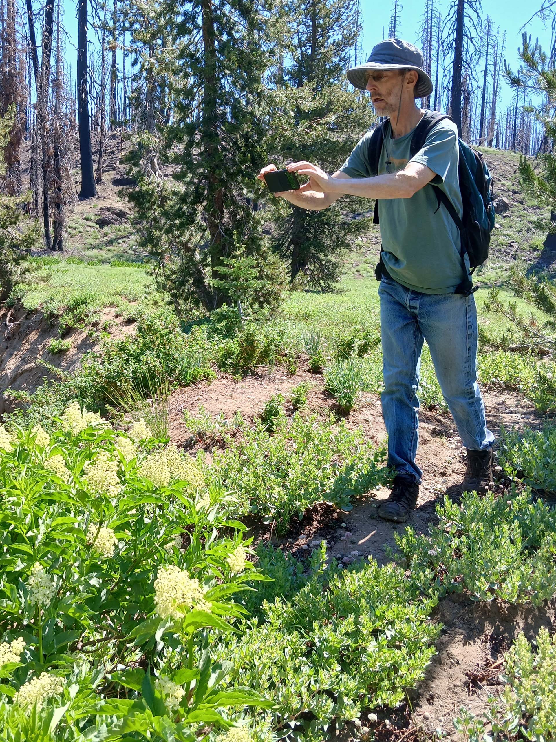 Doug Mandel. M. Weidert. Crumbaugh and Cold Boiling lakes, Lassen Volcanic National Park, on the field trip of July 8, 2024.