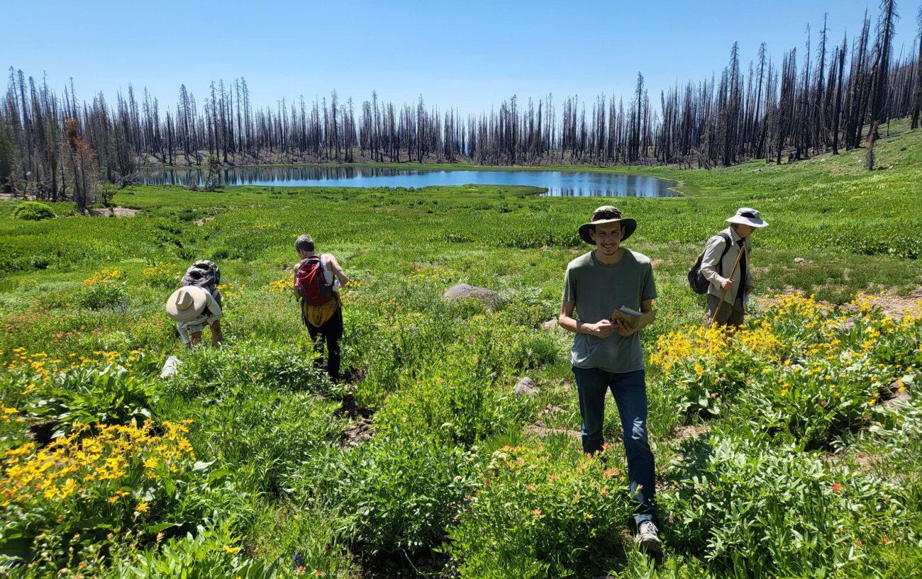 Botanizing at Crumbaugh Lake, D. Mandel.