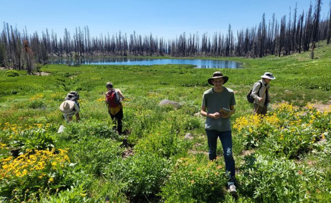 Botanizing at Crumbaugh Lake, D. Mandel.