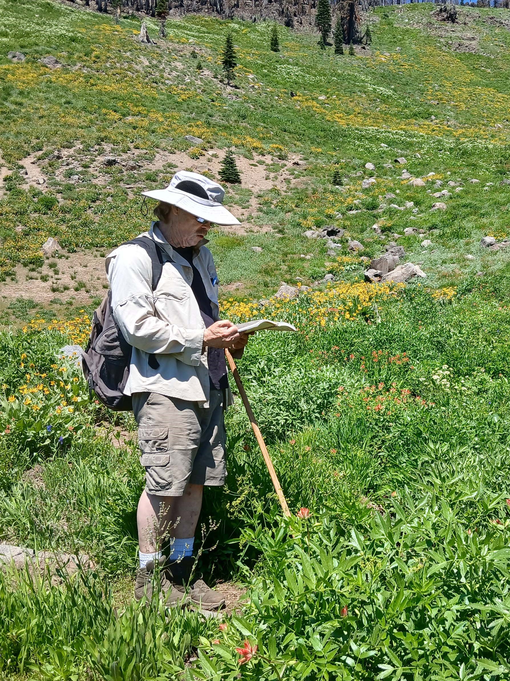 Dave Ledger. M. Weidert. Crumbaugh and Cold Boiling lakes, Lassen Volcanic National Park, on the field trip of July 8, 2024.