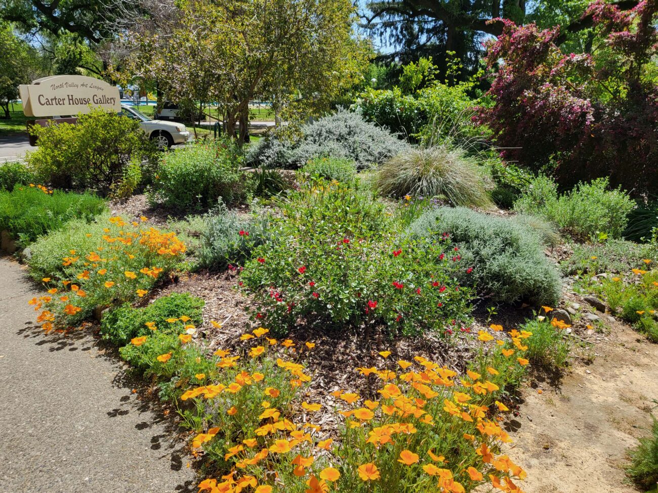 MMH Celebration Garden. D. Mandel.