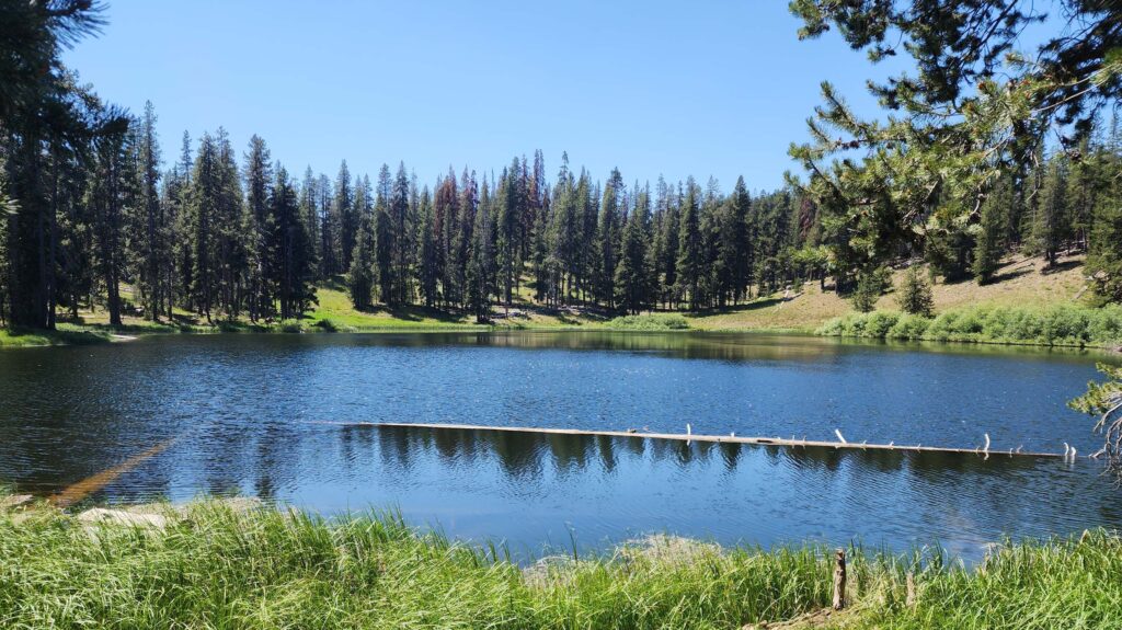 Little Medicine Lake. D. Burk.